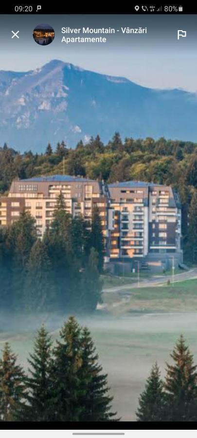 Forest Corner In Silver Mountain Of Poiana Brașov Exterior foto