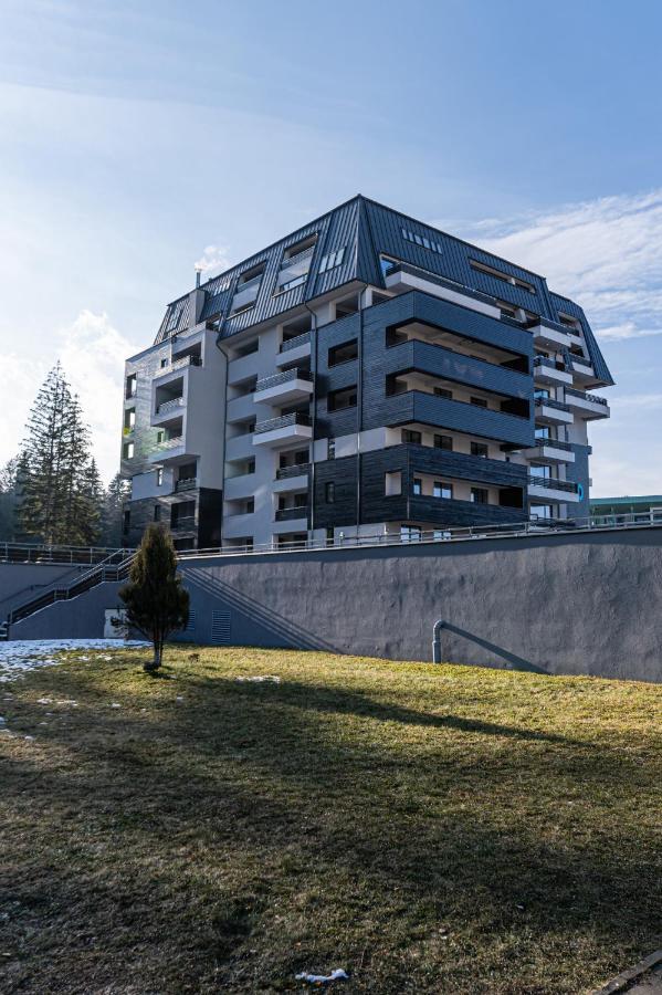 Forest Corner In Silver Mountain Of Poiana Brașov Exterior foto
