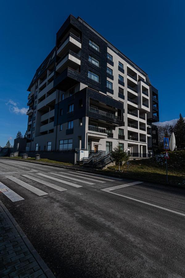 Forest Corner In Silver Mountain Of Poiana Brașov Exterior foto