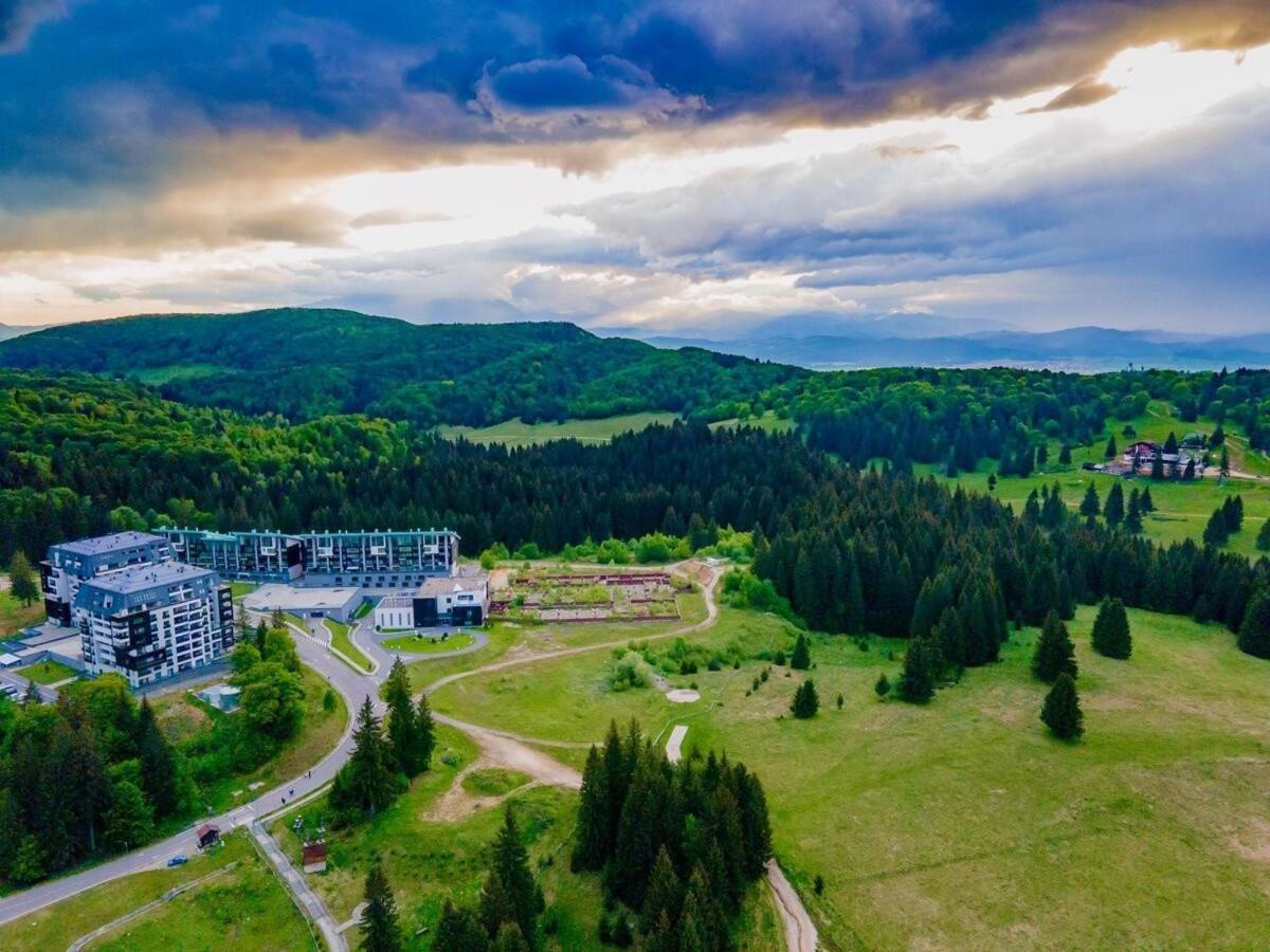 Forest Corner In Silver Mountain Of Poiana Brașov Exterior foto