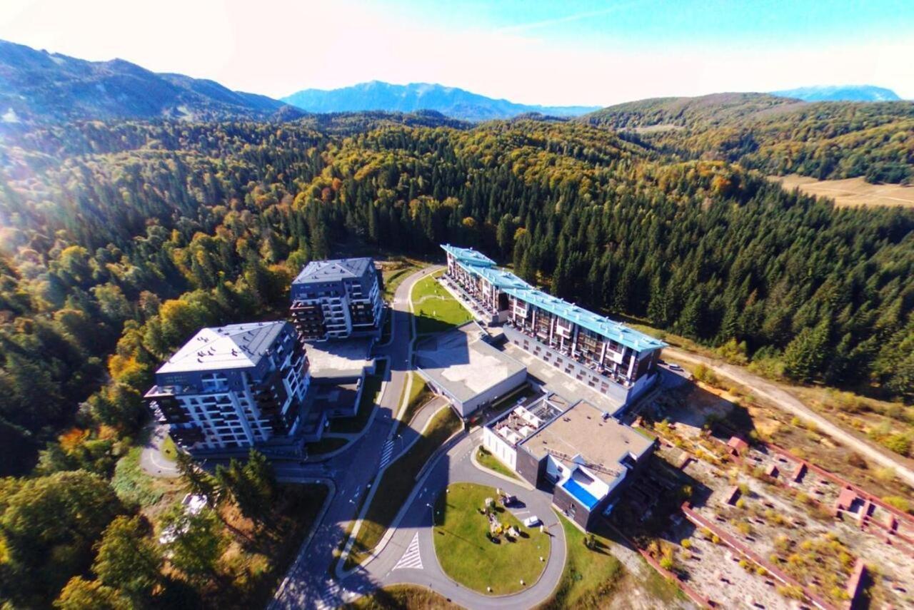 Forest Corner In Silver Mountain Of Poiana Brașov Exterior foto