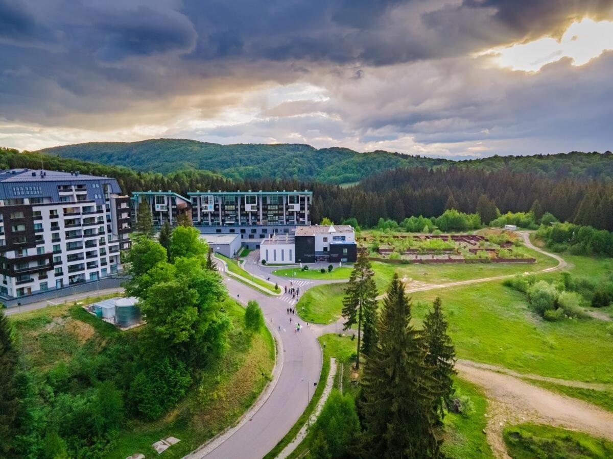 Forest Corner In Silver Mountain Of Poiana Brașov Exterior foto